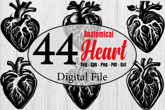 Anatomical Heart Bundle for Crafts & Graphics